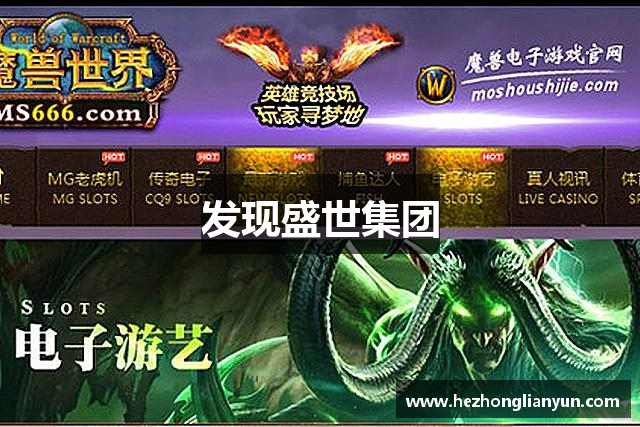 发现盛世集团